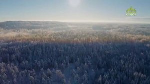 Стихи над миром. Стихотворения Зинаиды Миркиной