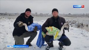 В Уржумской районе прошла операция по спасению двух полугодовалых лебедей
