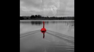 НейроКлип  Алые птицы заката