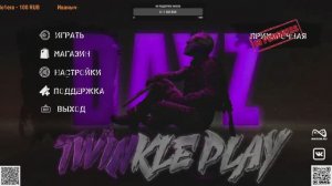 Dayz TWINKLE Play PVE
