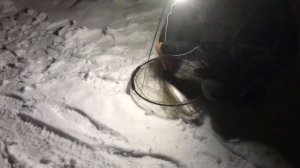 поимка форели на силикон