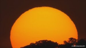 50 (!) - Amused To Death - Роджерс Уотерс («Развлекли себя до смерти»)