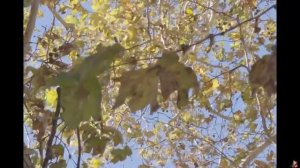 Сосед не один. Страшные. Мистические. Творческие истории. Хоррор