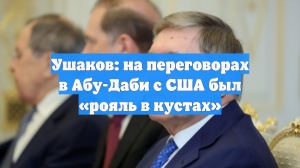 Ушаков рассказал о «рояле в кустах» на переговорах с США в Абу-Даби