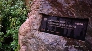 Японский сад в Краснодаре. Маленький дворовый сад✅