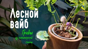 DIY Мини‑грибы для цветочных горшков / Атмосфера леса прямо у вас дома