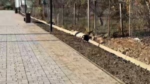 Информация о реализации нацпроекта жилье и городская среда ФП "Комфортная городская среда