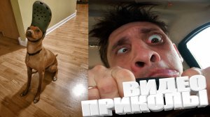 ТОПОВЫЕ ПРИКОЛЫ 2025 \ СМЕШНЫЕ ВИДЕОПРИКОЛЫ \ КАЧЕСТВЕННАЯ ПОДБОРКА ВИДЕОПРИКОЛОВ