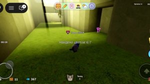 я получил летающих котов в игра с катятами