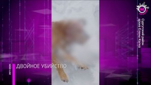 В Тундрино зверски убили двух домашних собак - Сургутский район
