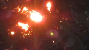 Солнце на закате 30.06.21