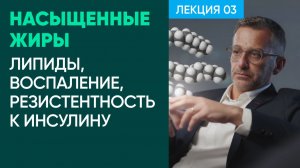 Парадокс насыщенных жиров: Разбор связи между липидами, воспалением и инсулинорезистентностью