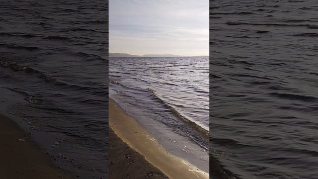 Дотопала до Волги