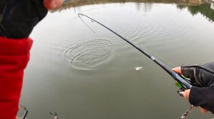 СТОИЛО ТОЛЬКО ПОДСМОТРЕТЬ за ВАНЕЙ,СРАЗУ ПОЙМАЛ. Рыбалка на спиннинг, форель в 2025