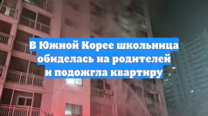 В Южной Корее школьница обиделась на родителей и подожгла квартиру