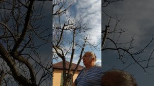 Как поймать рыбу