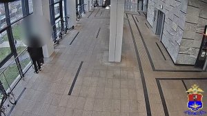 Пара влюблённых задержана транспортной полицией Москвы за кражу электросамокатов со станции Опалиха