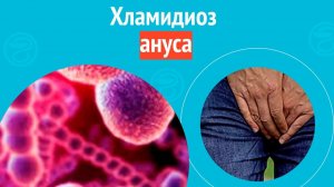 😯 Хламидиоз ануса. Клинический случай №1566