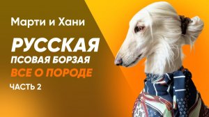 РУССКАЯ ПСОВАЯ БОРЗАЯ / ЧАСТЬ 2 / ВСЕ О ПОРОДЕ / СОБАКА ДЛЯ ОХОТЫ ИЛИ ДЛЯ КВАРТИРЫ? / КОМУ ПОДОЙДЕТ?
