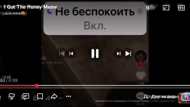 СиалоRecorder
