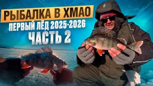 РЫБАЛКА В ХМАО. ПЕРВЫЙ ЛЕД 2025-2026 . СТОЛЬКО РЫБЫ Я ЕЩЕ НЕ ЛОВИЛ. Часть 2