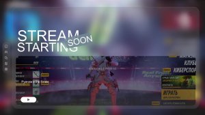 Руиним в the Finals