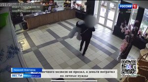 Дерзкое похищение плюшевого медведя средь бела дня