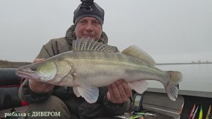 ТУМАН - ловля осеннего судака на р. Ахтуба (рыбалка 2025), Астраханская . Троллинг в один спиннинг