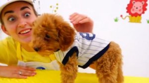 Ники, Влад и салон для животных! Видео для детей!