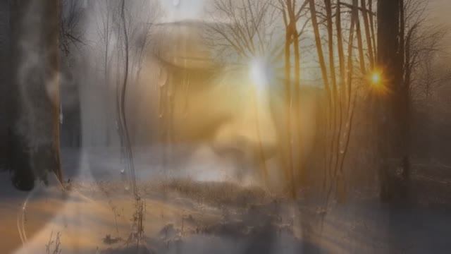 В.Р. - Слёзы берёзы