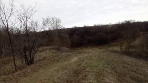 Родные места