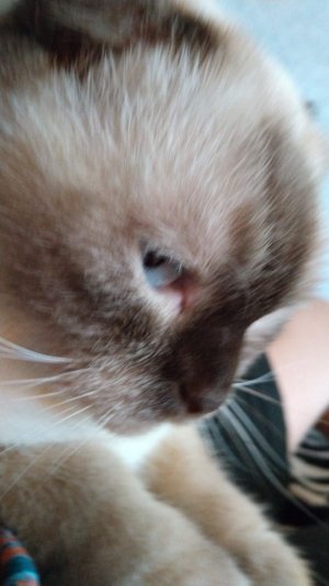 спасибо вам всем