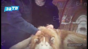 Страна Росатом. Эфир 25