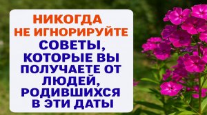 Никогда не игнорируйте советы людей, рождённых в эти даты - иначе потеряете всё