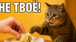 Смех до слёз: лучшие приколы №215