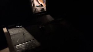 263. Что с Петром и что мы предприняли.