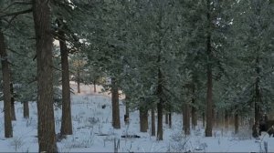 НАД РУСЬЮ АНГЕЛ БЕЗДНЫ И НА ЗЕМЛЕ ТОСКА -автор Андрей Немков, исполнитель ИИ