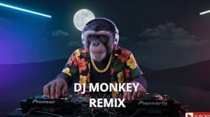 Farrux Fazel Bor / Dj Maymun remix