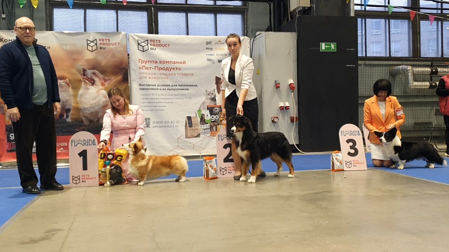 23.11.2025, СПб. Клуб "Вудфал" (РКФ, РФСС). Выставка собак CAC 1 группы FCI