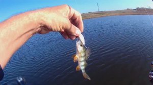 Окуневая рыбалка на ультролайтовый спиннинг.