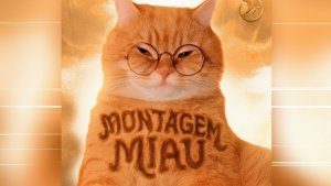 LENAR - MONTAGEM MIAU - SLOWED - Full version - PHONK