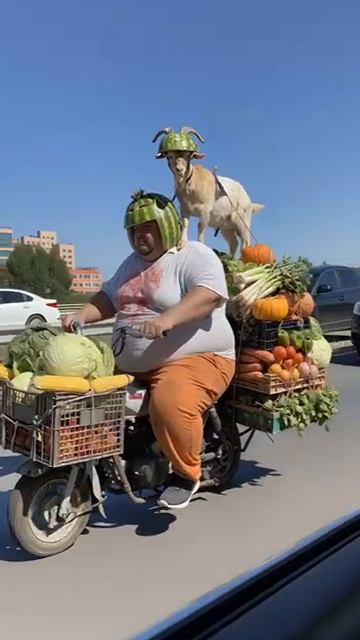 СМЕШНАЯ НЕЙРОСЕТЬ смотреть онлайн