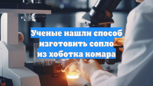 Ученые нашли способ изготовить сопло из хоботка комара