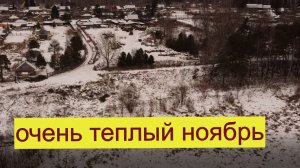 Чем опасен #теплый ноябрь. Кормим #коров и говорим #проПогоду. #ДеревняОкунево.