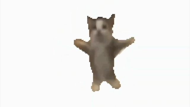 Кот танцует!