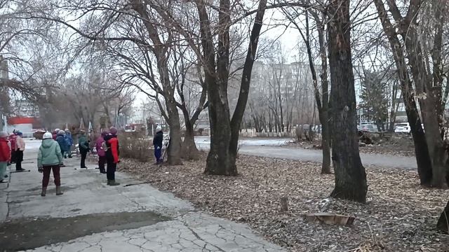 Занятия скандинавской ходьбой и с лыжными палками