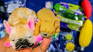 АСМР распаковка сквишей и антистрессов ТАБА СКВИШИ лапки 🐾 приятные звуки АСМР сквишей 🥰