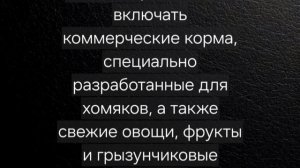 РАССКАЗЫВАЮ О ХОМЯКАХ 😁