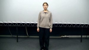 Николай Заболоцкий "Журавли" - читает Полина Байбакова