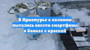 В Приамурье в колонию пытались ввезти смартфоны в банках с краской